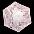 /album/morzanite/morganiteoopsdaisy-jpg/